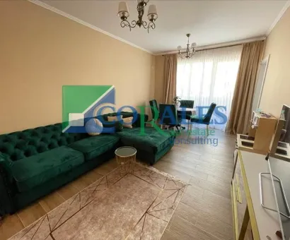 Poarta automatizata. Gradina. Finisaje calitative. Model decomandat.