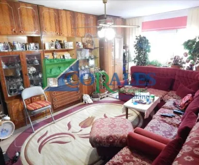 2 bai. Centrala proprie. Boxa.