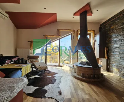 Pozitie excelenta. Vedere panoramica